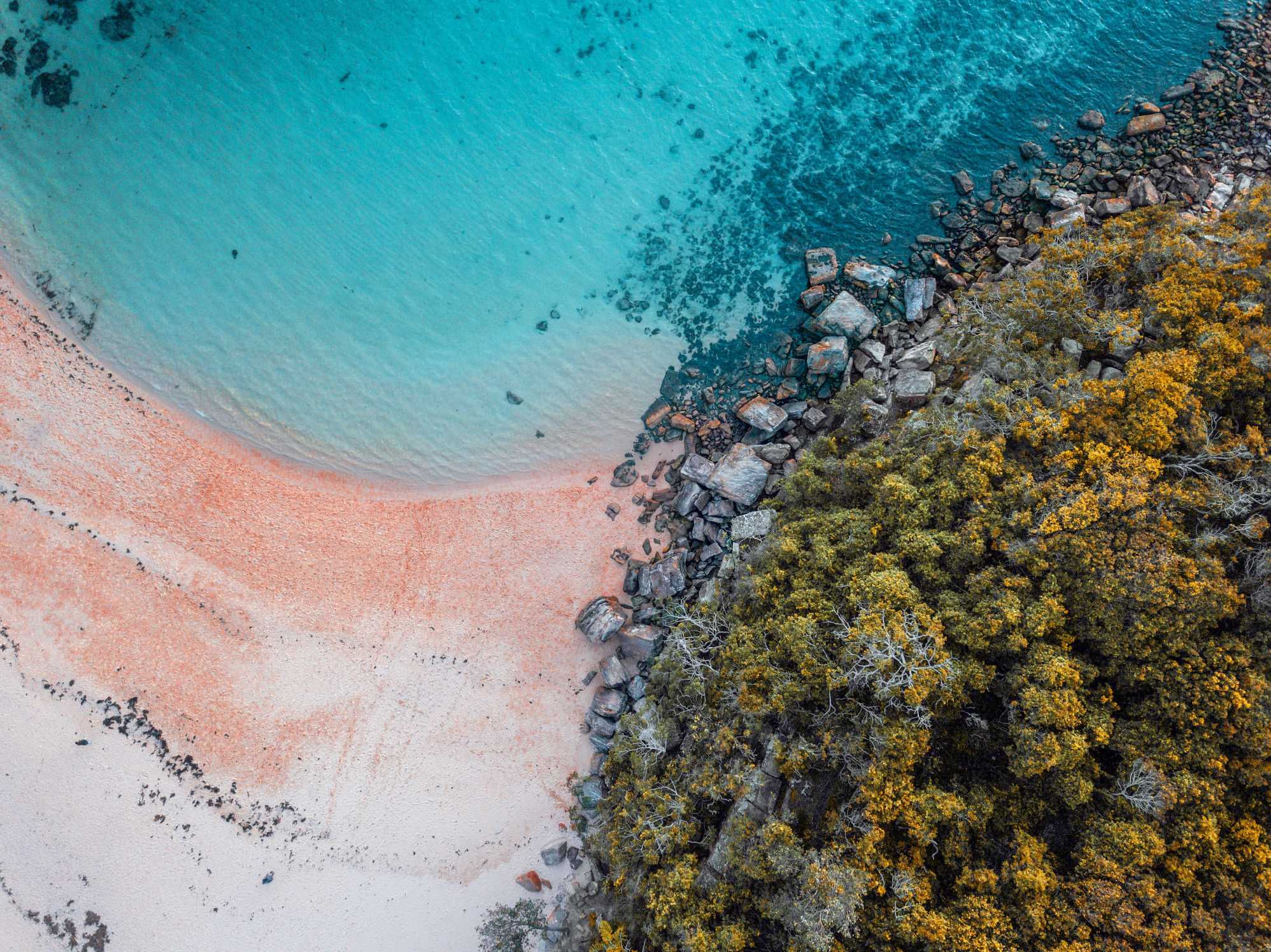 https://unsplash.com/@grovemade